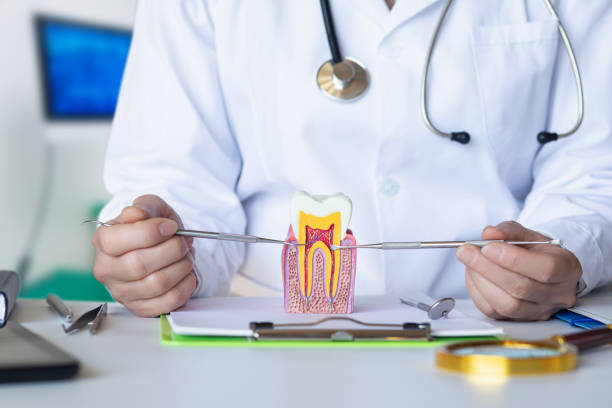 Best Same-Day Emergency Dental Services in Montgomery, TX